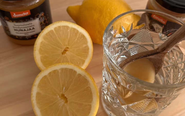 Sitruunan palat pöydällä sekä biodynaamista hujanaa, vieressä lasi jossa puisessa lusikassa hunajaa