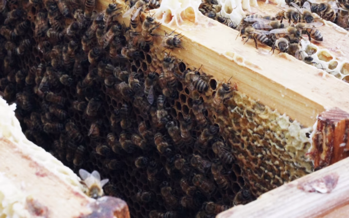 Processed with VSCO with a5 preset